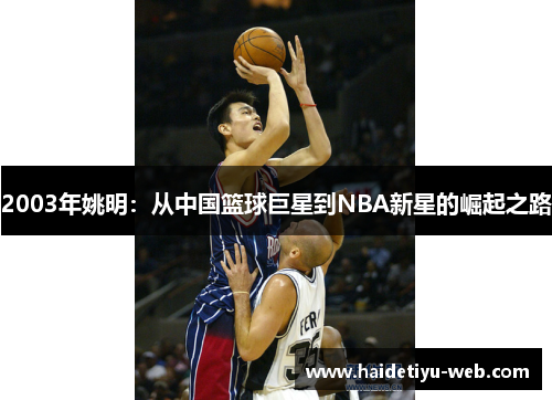 2003年姚明：从中国篮球巨星到NBA新星的崛起之路